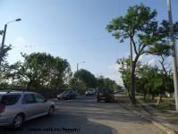 Imagine atasata: Extindere troleibuz Calea Lipovei - 2015.06.15 - 07.jpg